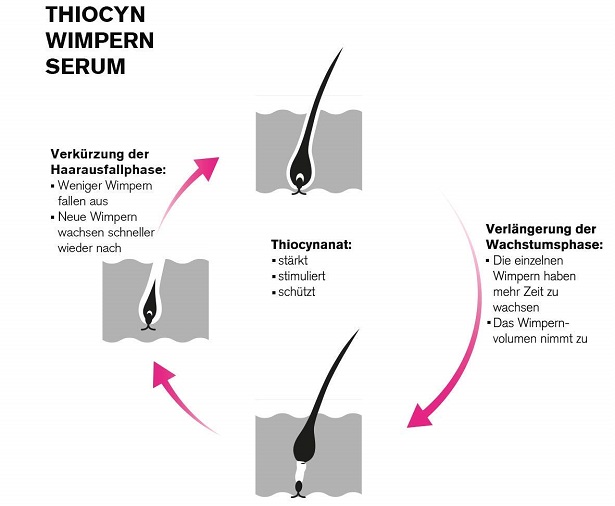 Thiocyanat Thiocyn Wimpernserum